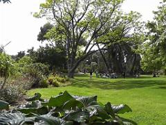183 D35 PARC OLBIUS RIQUIER A HYERES_000047